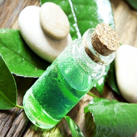 31 benefits of tea tree oil for skin hair and health