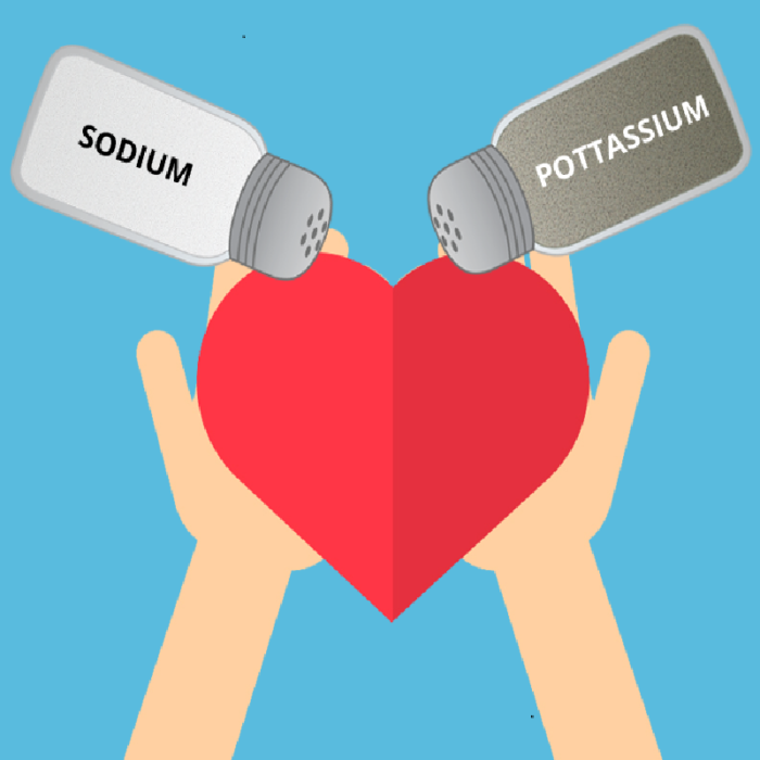 low sodium diet - healthy heart